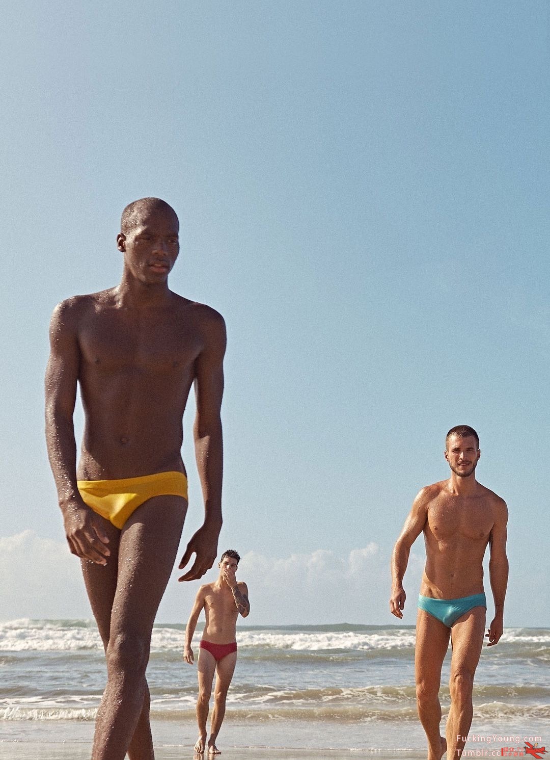 Guilherme Paganini, Alex Trevelin, and Ed Saldanha