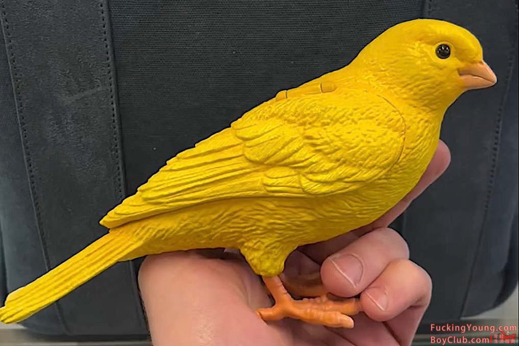 时尚单品·黄色鹦鹉包！